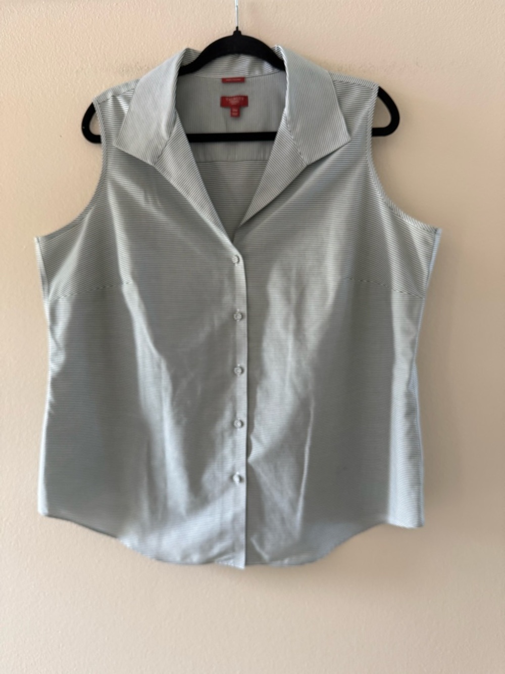 Talbots Green/White Sleeveless Button-Down Blouse